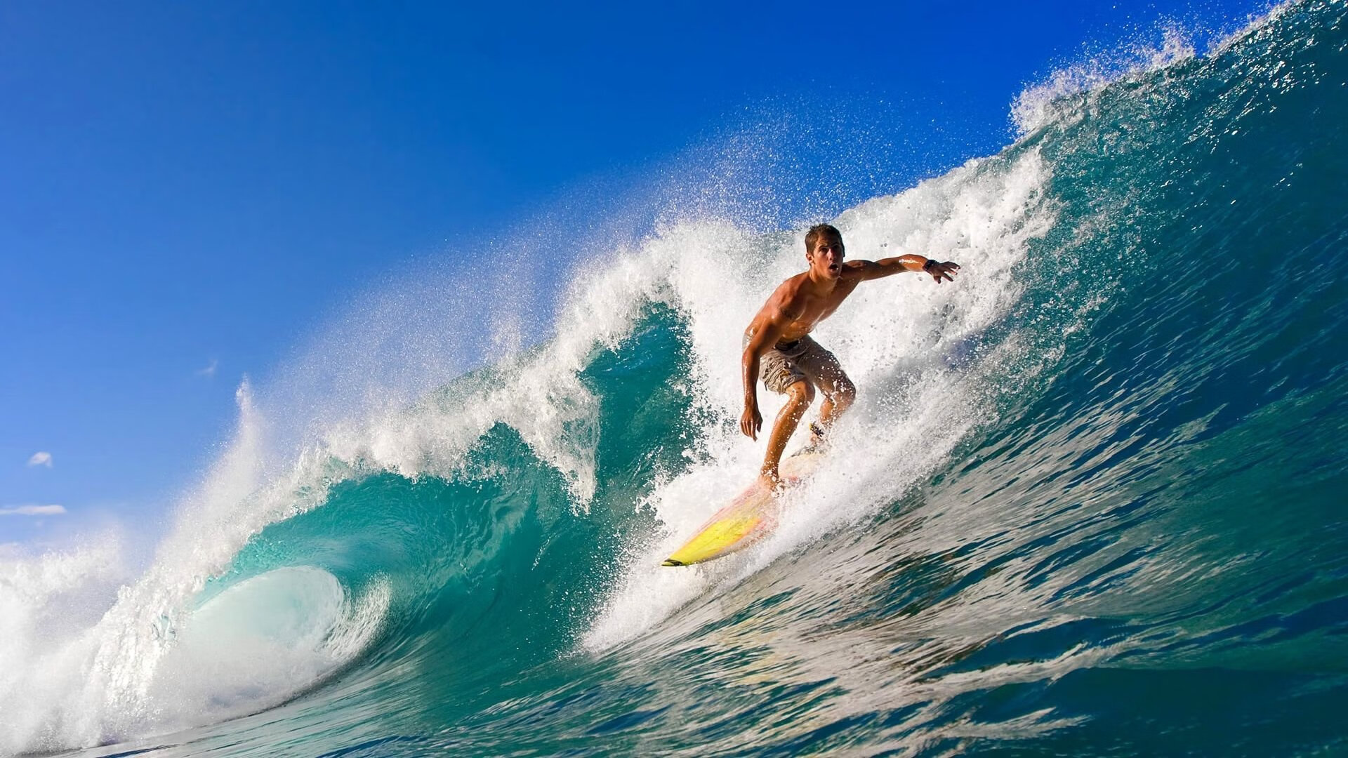 Scout迎来二十赛季高光表现，雄鹿球迷沸腾！